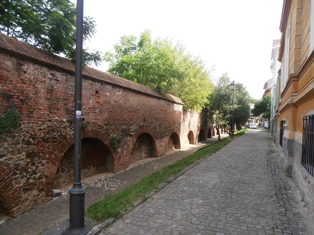 Gothic House Apartment Sibiu Exterior photo